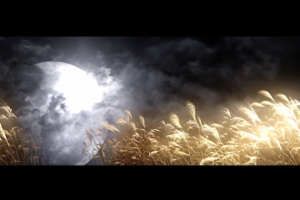 1704_PanasonicMilanoSalone